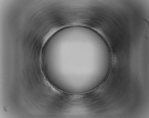 X0000103421294200809191628