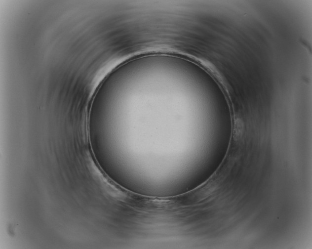 X0000103421295200809191628