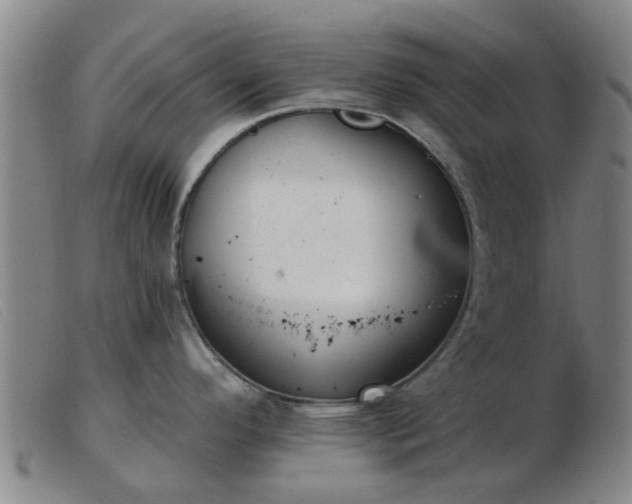 X0000103421296200809191628