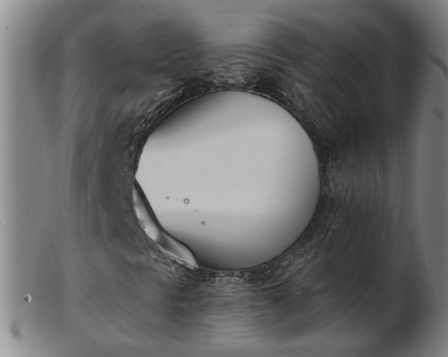 X0000103421297200809191628