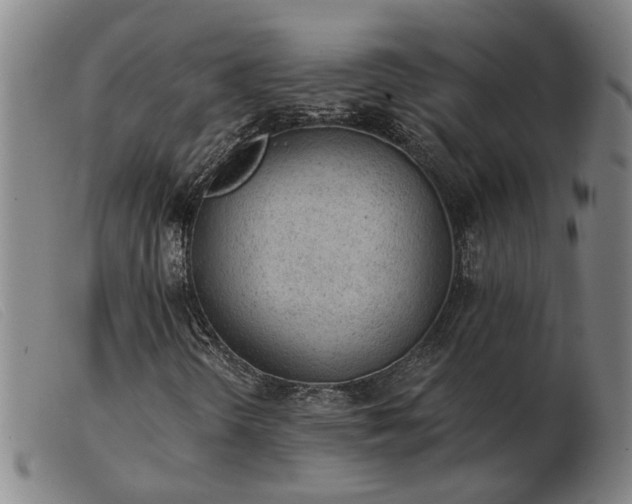 X0000103421298200809191628