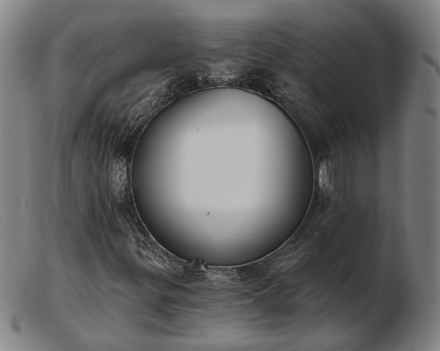 X0000103421299200809191628