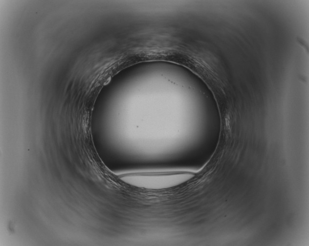 X0000103421300200809191628