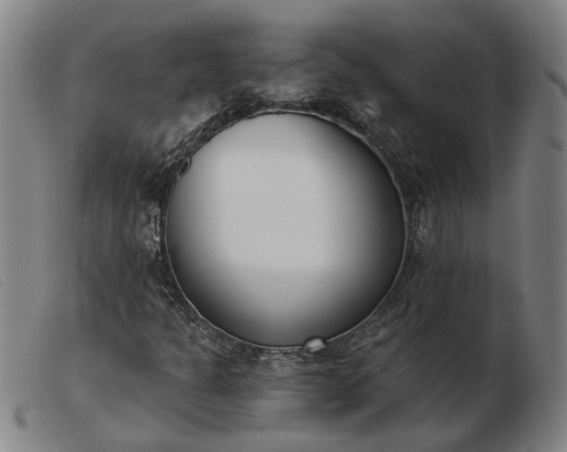 X0000103421301200809191628