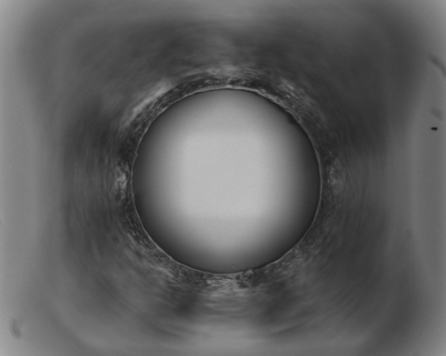 X0000103421302200809191628