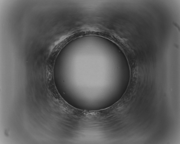 X0000103421303200809191628