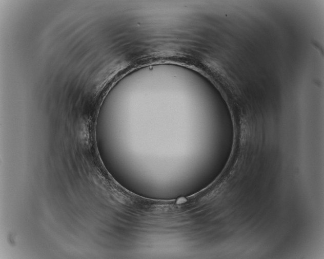 X0000103421305200809191628