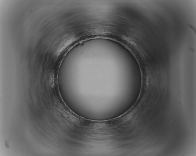 X0000103421306200809191628