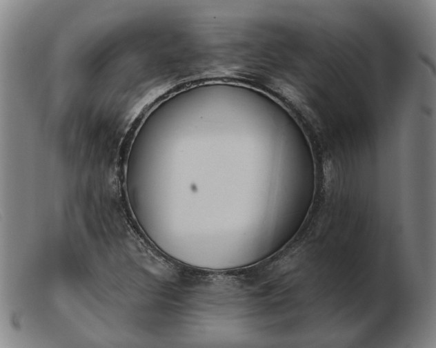 X0000103421308200809191628