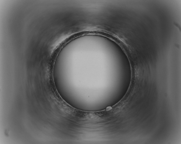 X0000103421311200809191628