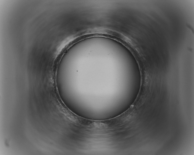 X0000103421312200809191628