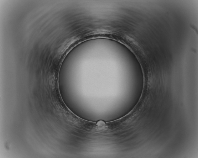 X0000103421313200809191628