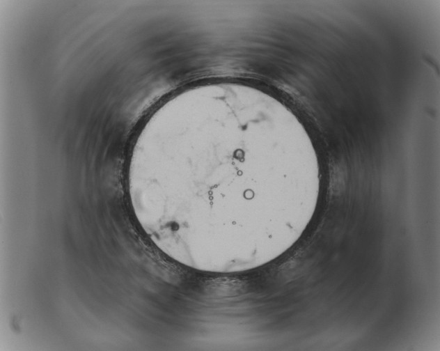 X0000103421314200809191628