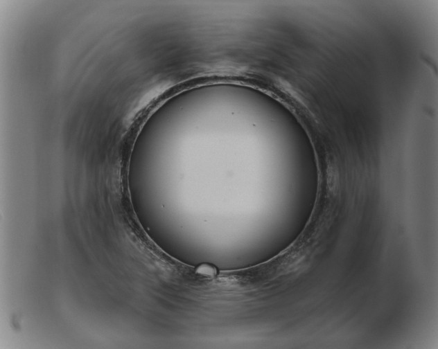 X0000103421315200809191628
