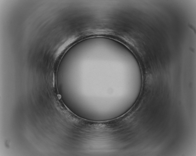 X0000103421317200809191628