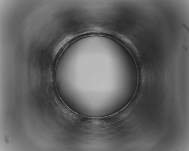 X0000103421318200809191628