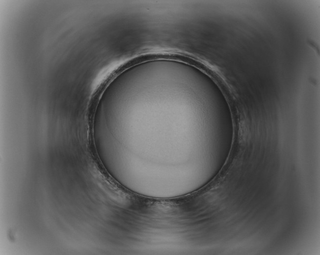 X0000103421319200809191628