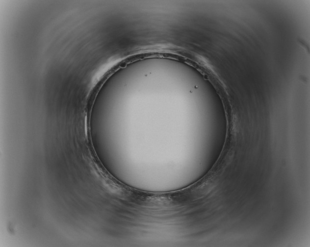 X0000103421320200809191628