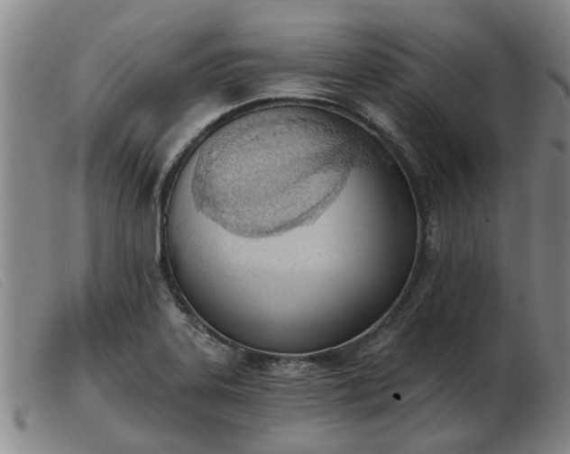 X0000103421323200809191628