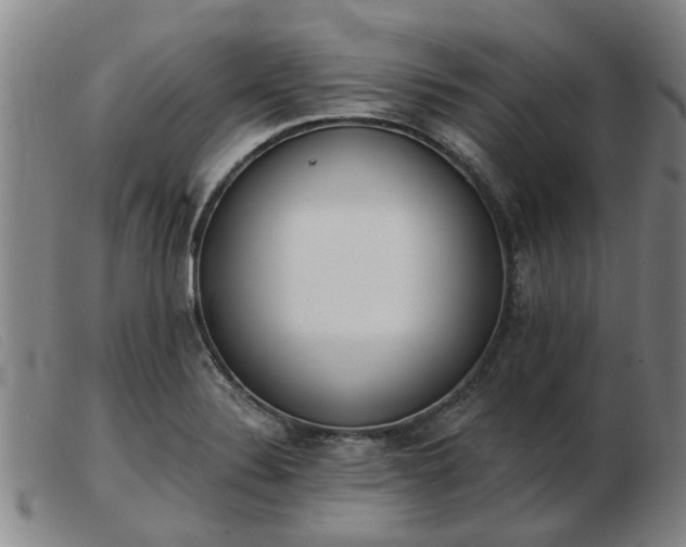 X0000103421324200809191628