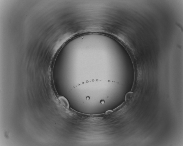 X0000103421325200809191628