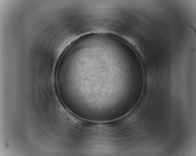 X0000103421327200809191628