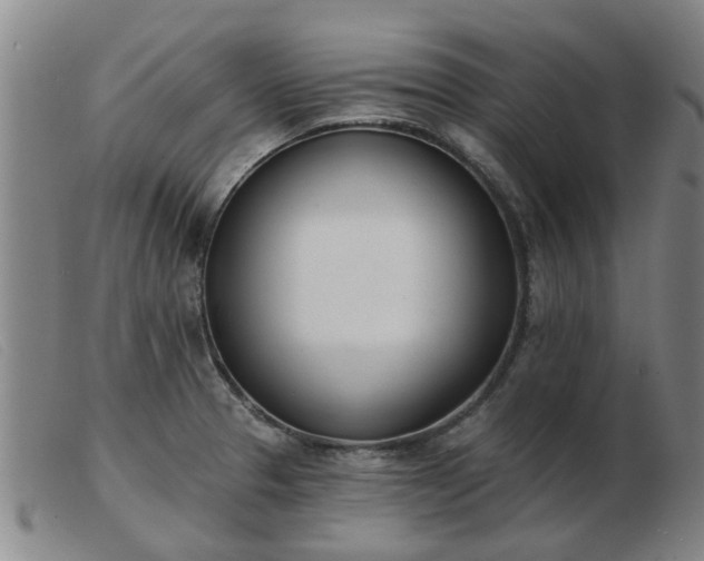 X0000103421329200809191628