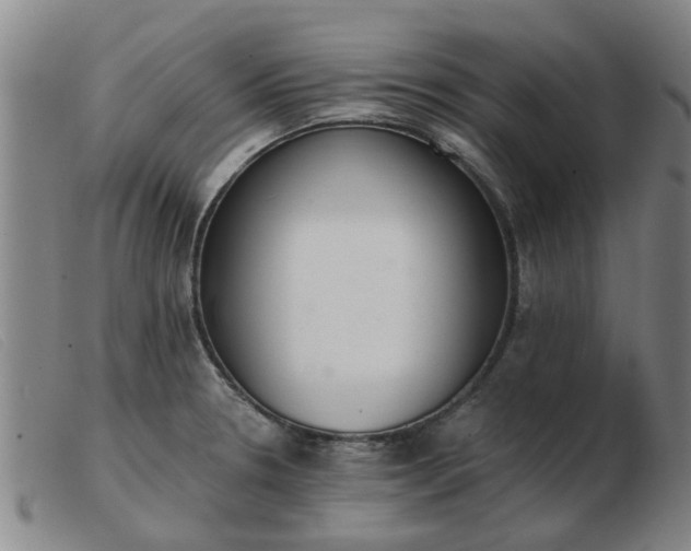 X0000103421330200809191628