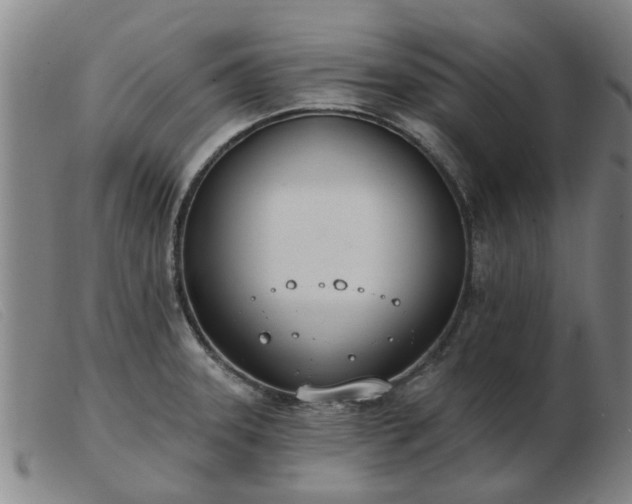 X0000103421331200809191628