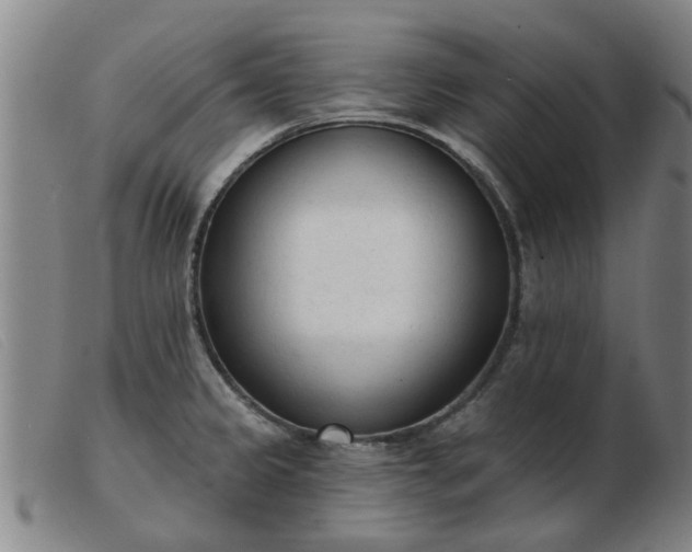 X0000103421333200809191628