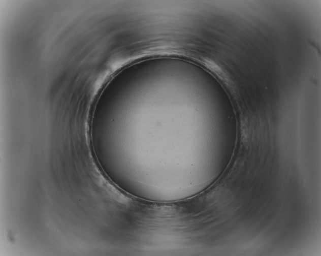 X0000103421334200809191628
