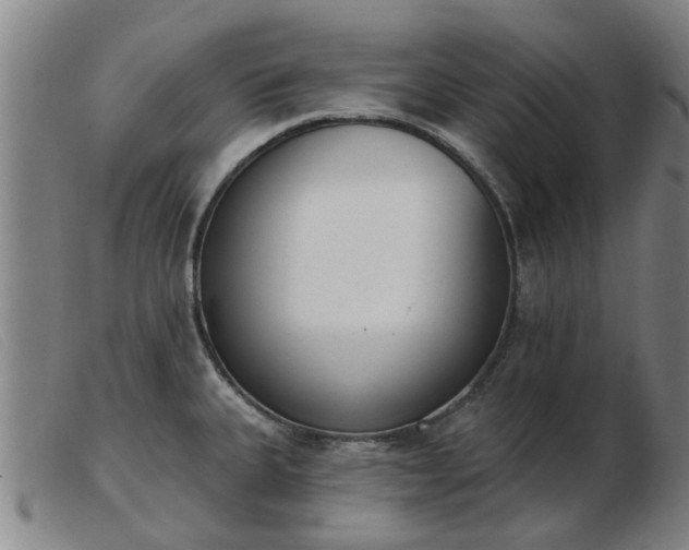 X0000103421335200809191628