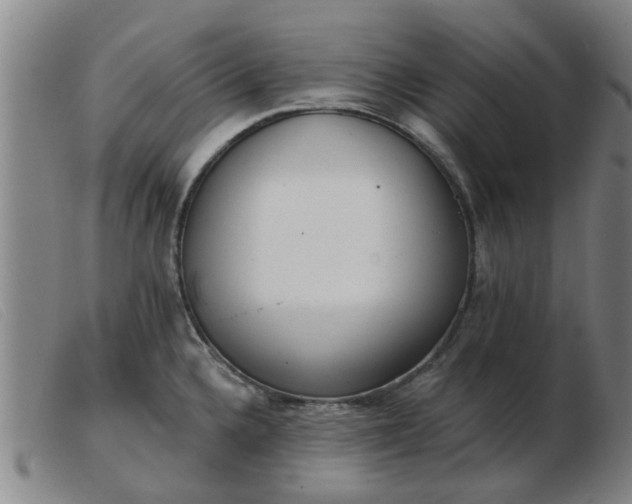 X0000103421336200809191628