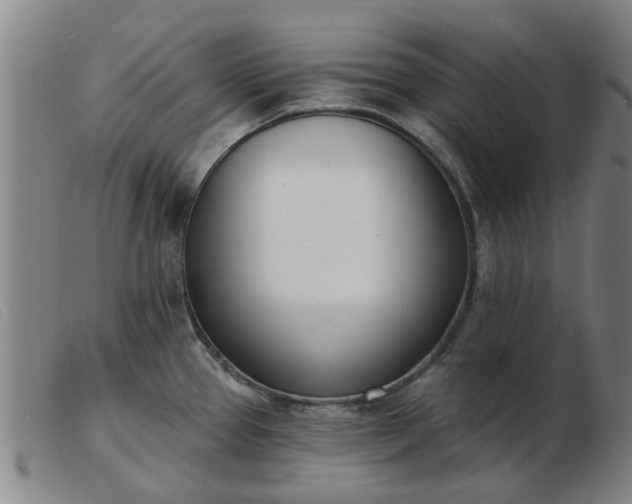 X0000103421337200809191628