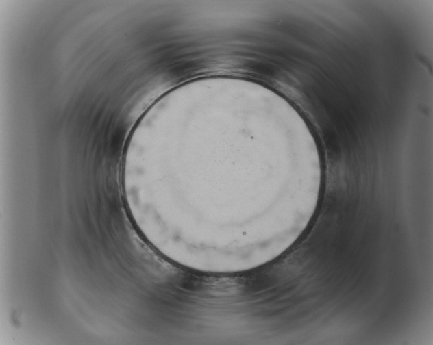 X0000103421338200809191628