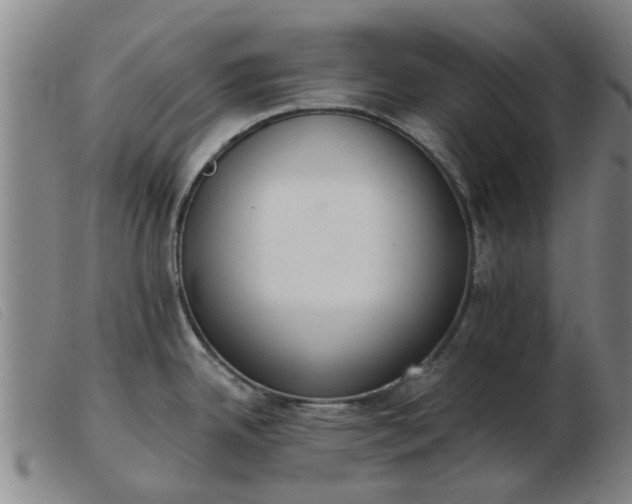 X0000103421342200809191628