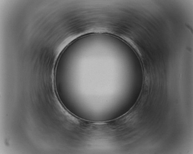 X0000103421343200809191628