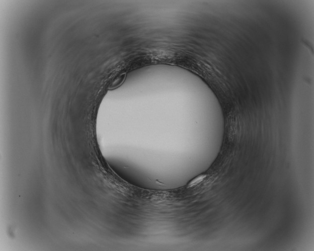 X0000103421345200809191628