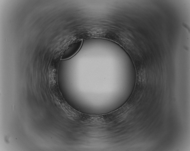 X0000103421346200809191628
