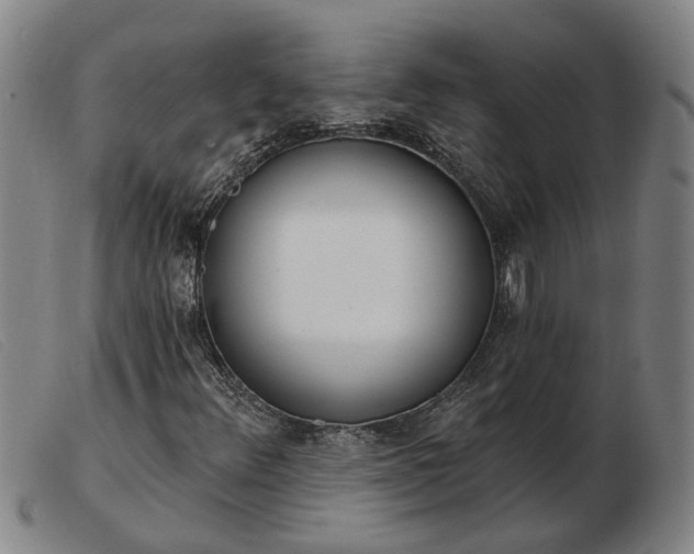 X0000103421348200809191628