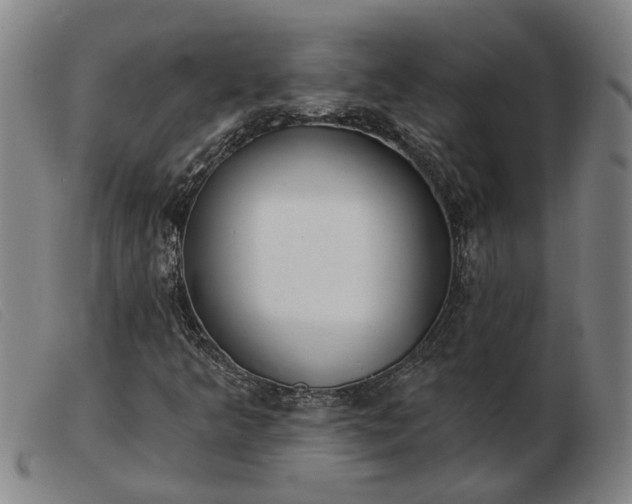 X0000103421349200809191628
