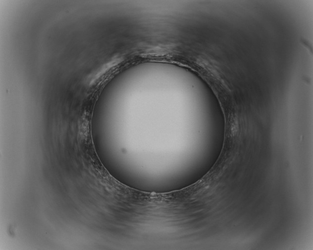 X0000103421350200809191628