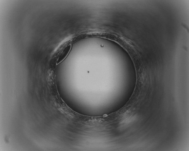 X0000103421351200809191628