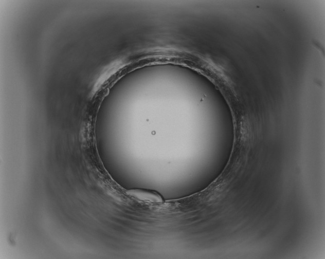 X0000103421352200809191628