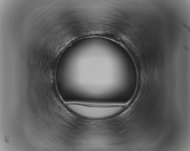 X0000103421353200809191627