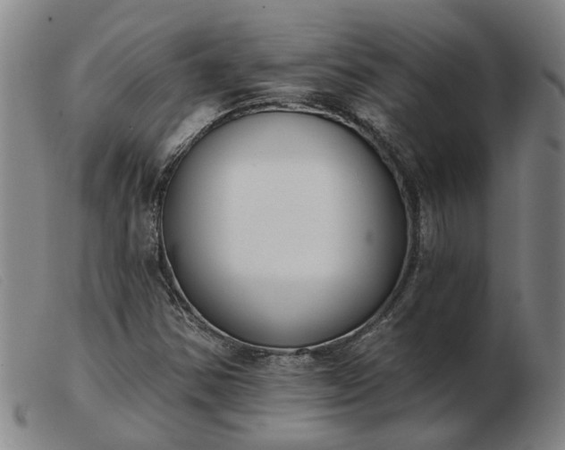X0000103421354200809191627