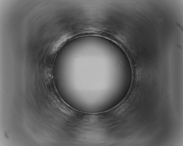 X0000103421355200809191627