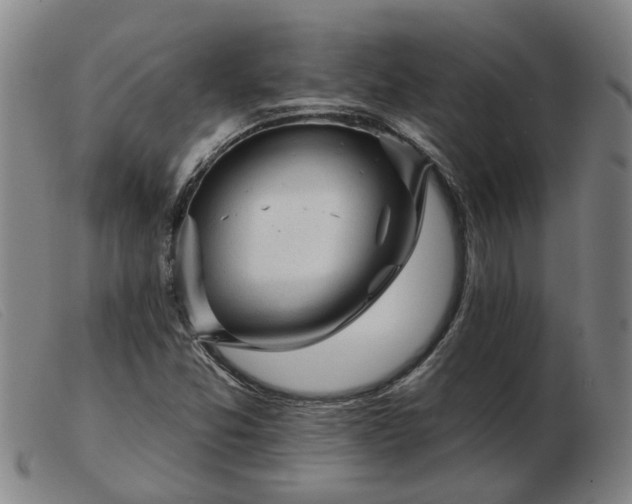 X0000103421357200809191627