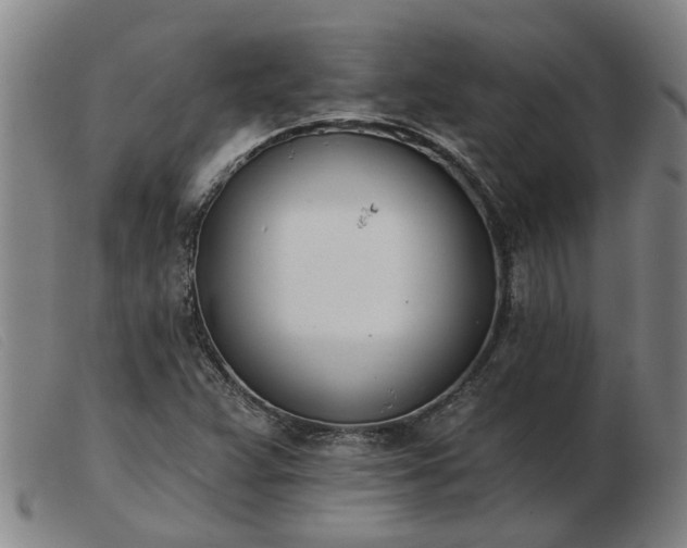 X0000103421359200809191627