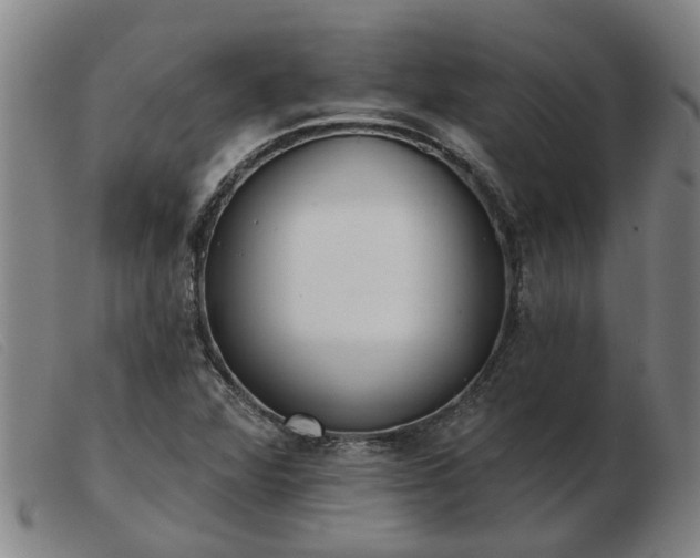 X0000103421360200809191627